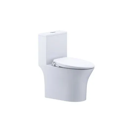 Bàn cầu kết hợp nắp cơ đa năng Caesar C1391F/TAF060