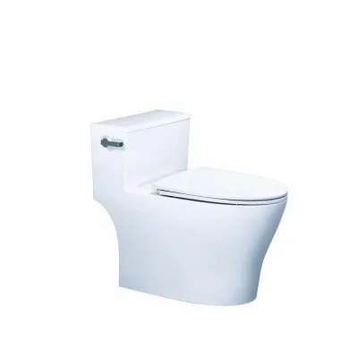 Bàn Cầu Một Khối Nắp Êm Caesar C1393