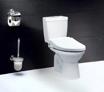 Bồn Cầu Nắp Rửa Cơ CD1325/TAF050 2 Khối CAESAR