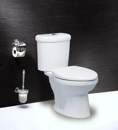 Bàn cầu 2 khối (nắp êm) Caesar CDS1338
