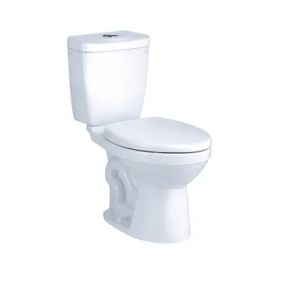 Bàn cầu 2 khối Caesar CDS1325 nắp êm