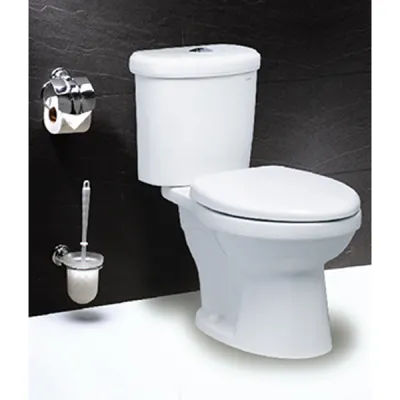 Bồn Cầu Nắp Rửa Cơ CD1338/TAF050 2 Khối CAESAR