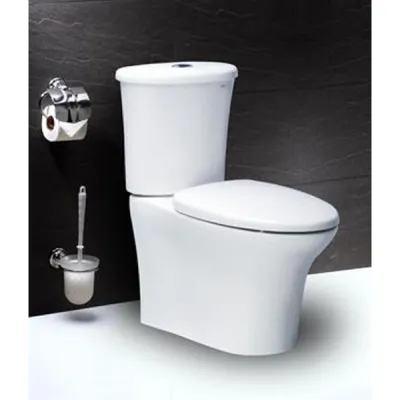 Bồn Cầu Nắp Rửa Cơ CD1341/TAF050 2 Khối CAESAR