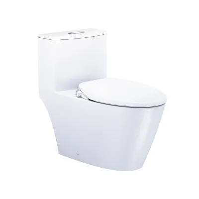 Bồn Cầu Nắp Rửa Cơ CD1363/TAF060 1 Khối CAESAR