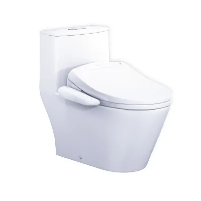 Bàn cầu nắp rửa điện tử CD1363/TAF400H CAESAR