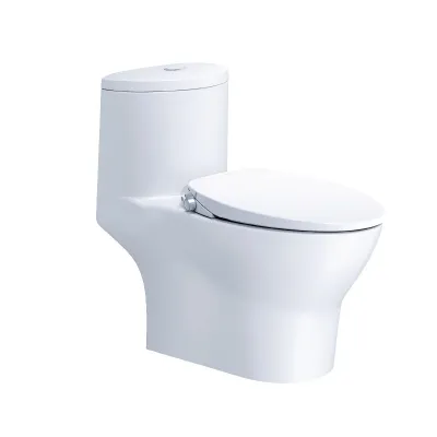 Bồn Cầu Nắp Rửa Cơ CD1375/TAF060 1 Khối CAESAR