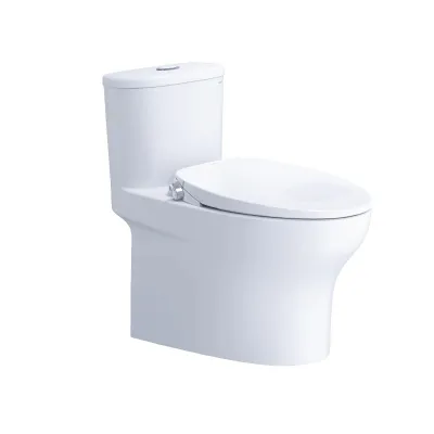 Bồn Cầu Nắp Rửa Cơ CD1394/TAF060 1 Khối CAESAR