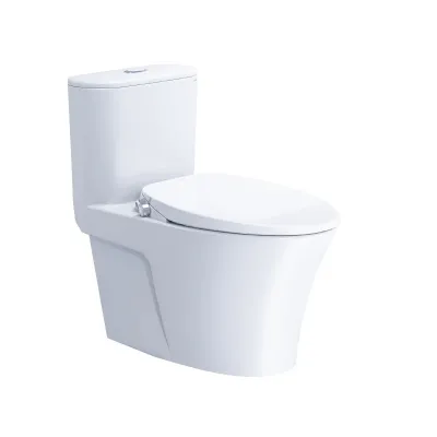 Bồn Cầu Nắp Rửa Cơ CD1395/TAF060 1 Khối CAESAR