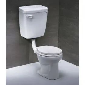Bàn cầu trẻ em Caesar CT1026-36CM 
