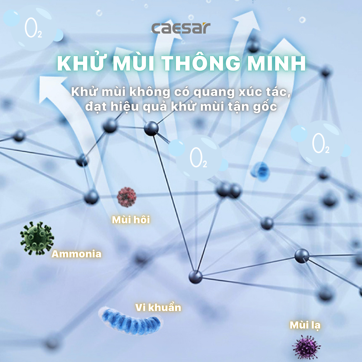 Bàn Cầu một khối kết hợp với nắp điện tử Caesar C1375F/TAF710H