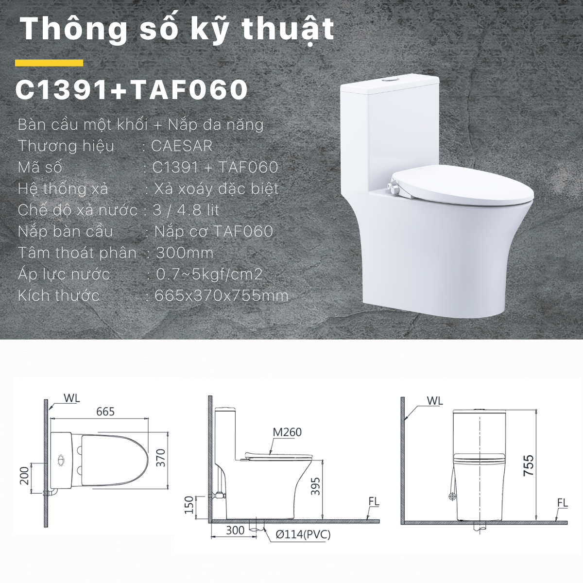 Bàn cầu kết hợp nắp cơ đa năng Caesar C1391F/TAF060