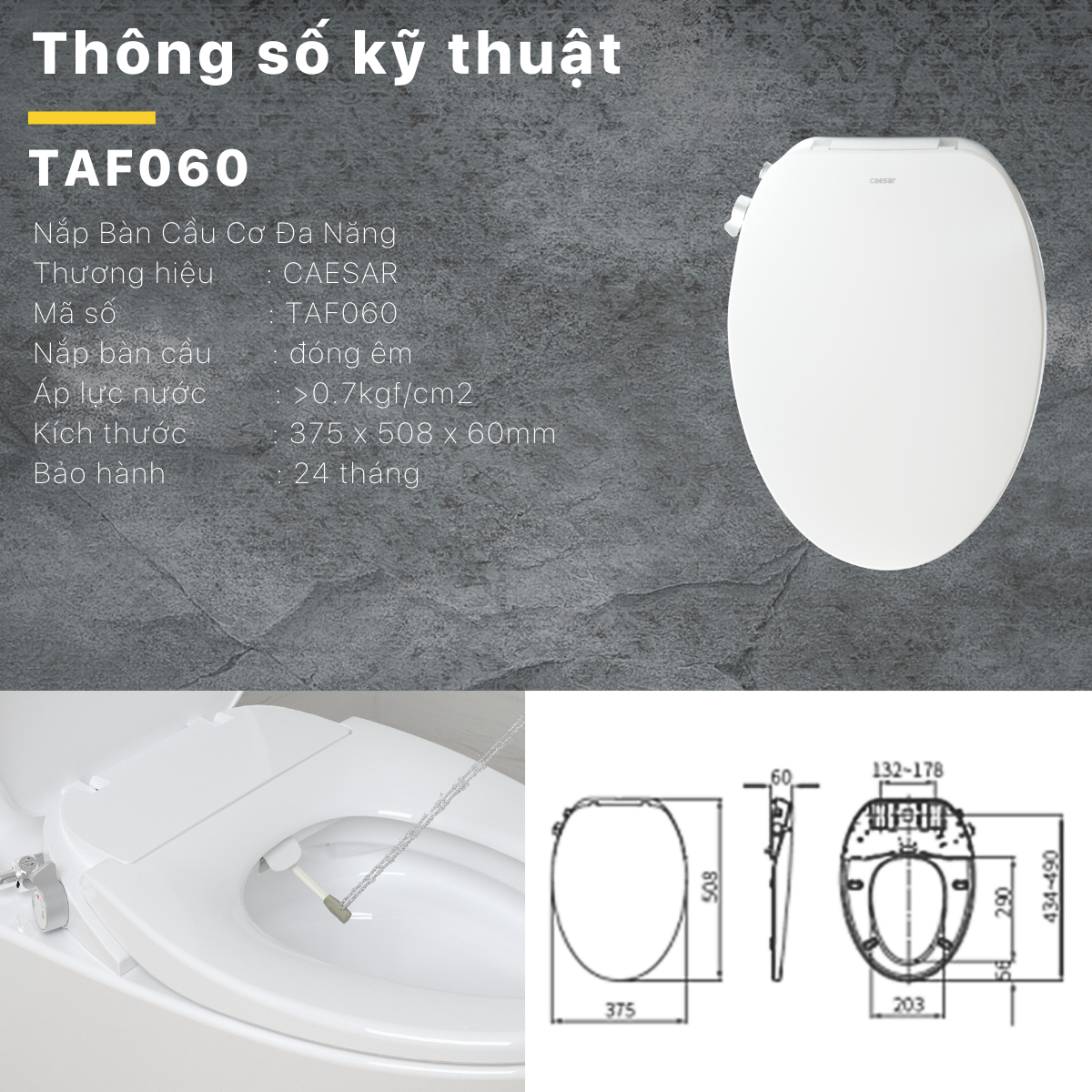 Bàn cầu kết hợp nắp cơ đa năng Caesar C1391F/TAF060