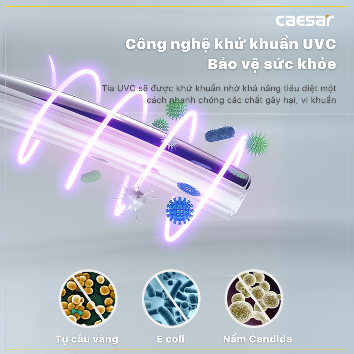 Bàn Cầu Một Khối kết hợp nắp điện tử Caesar C1393F/TAF610H