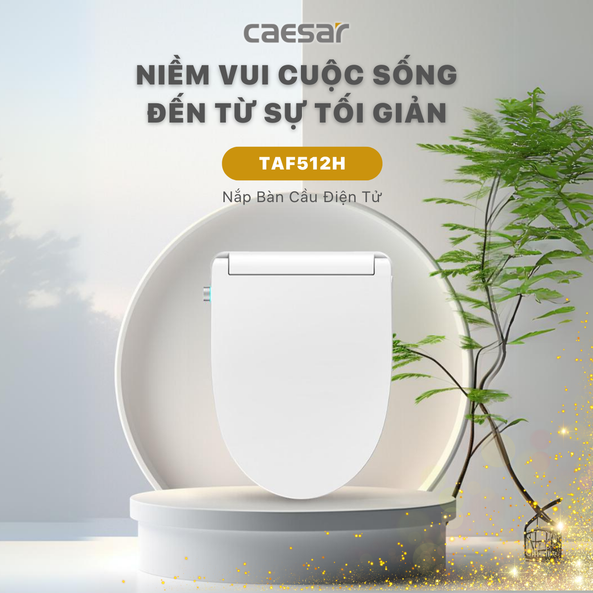 Bàn Cầu hai khối kết hợp với nắp điện tử Caesar CD1325/TAF512H