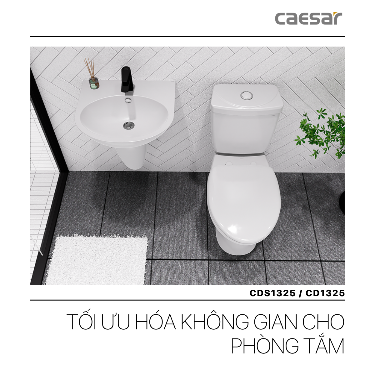 Bàn Cầu hai khối kết hợp với nắp điện tử Caesar CD1325/TAF512H