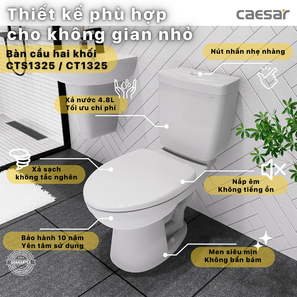 Bàn Cầu hai khối kết hợp với nắp điện tử Caesar CT1325/TAF512H