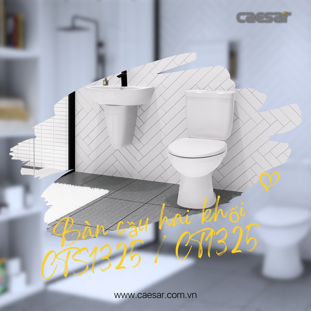Bàn Cầu hai khối kết hợp với nắp điện tử Caesar CT1325/TAF512H