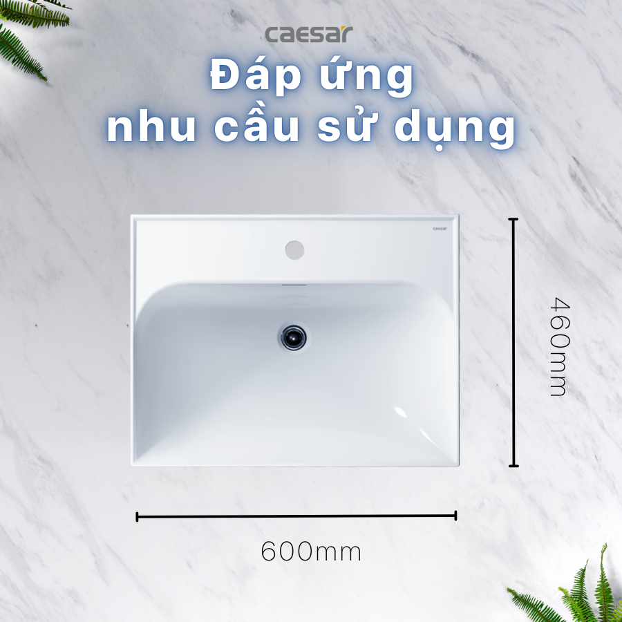Lavabo treo tường / Lavabo đặt trên bàn Caesar LF5356