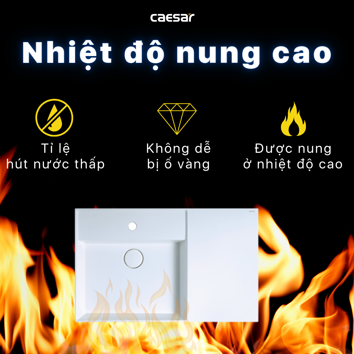 Lavabo treo tường / Lavabo đặt trên bàn Caesar LF5382