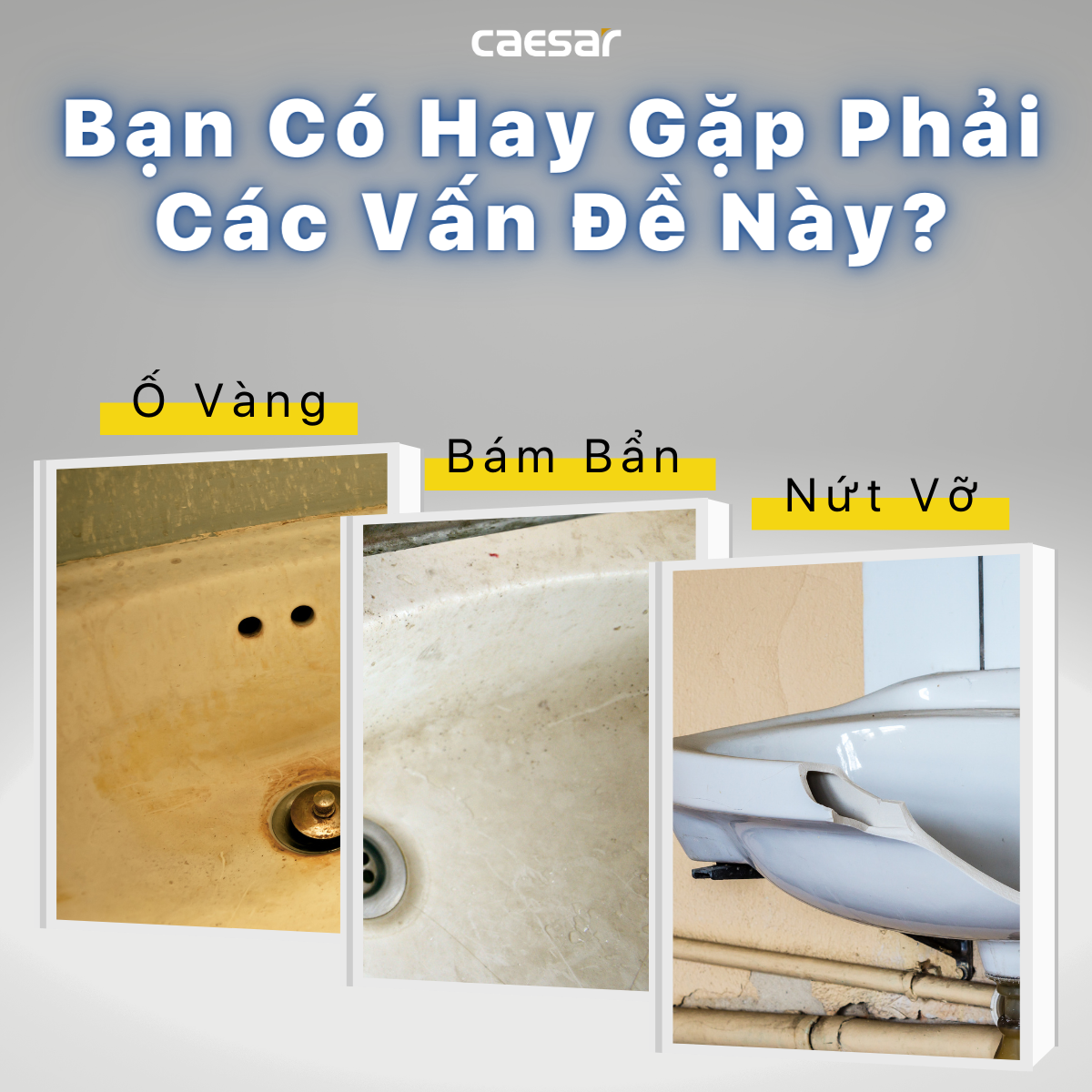 Lavabo treo tường / Lavabo đặt trên bàn Caesar LF5386