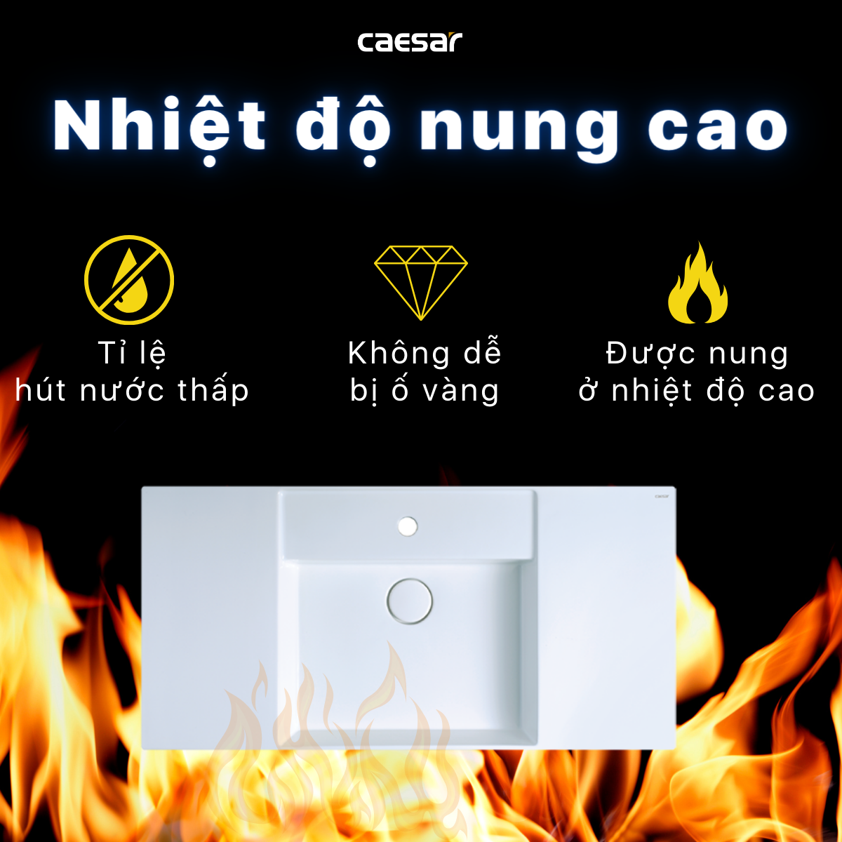 Lavabo treo tường / Lavabo đặt trên bàn Caesar LF5386