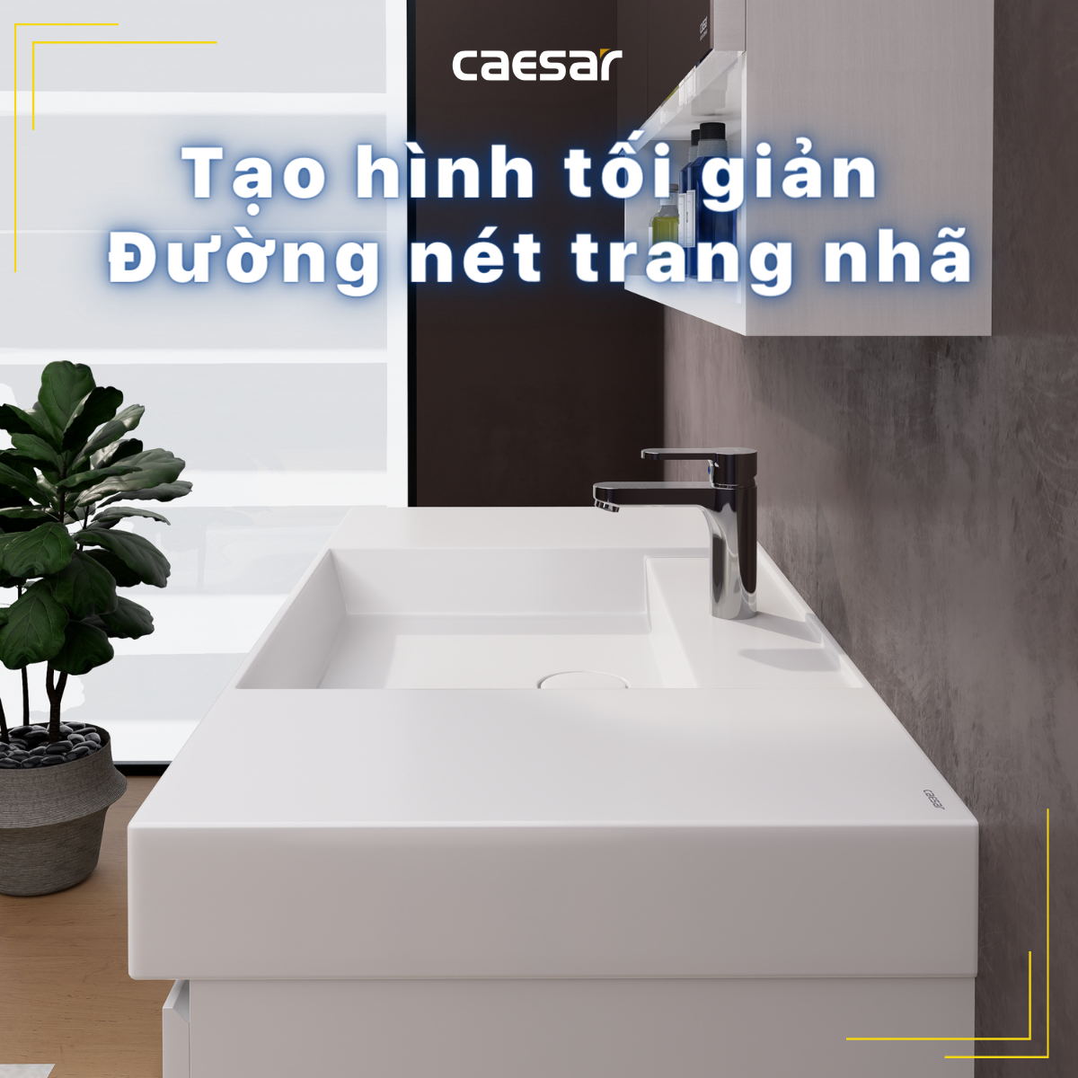 Lavabo treo tường / Lavabo đặt trên bàn Caesar LF5386