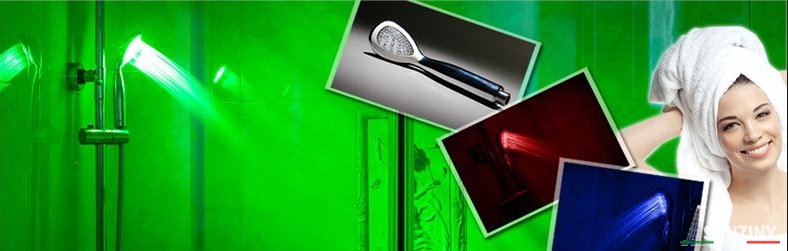 Các bước chọn mua sen vòi caesar