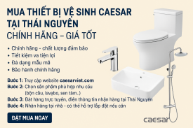 Mua Thiết Bị Vệ Sinh Caesar Tại Thái Nguyên | Chính Hãng – Giá Tốt